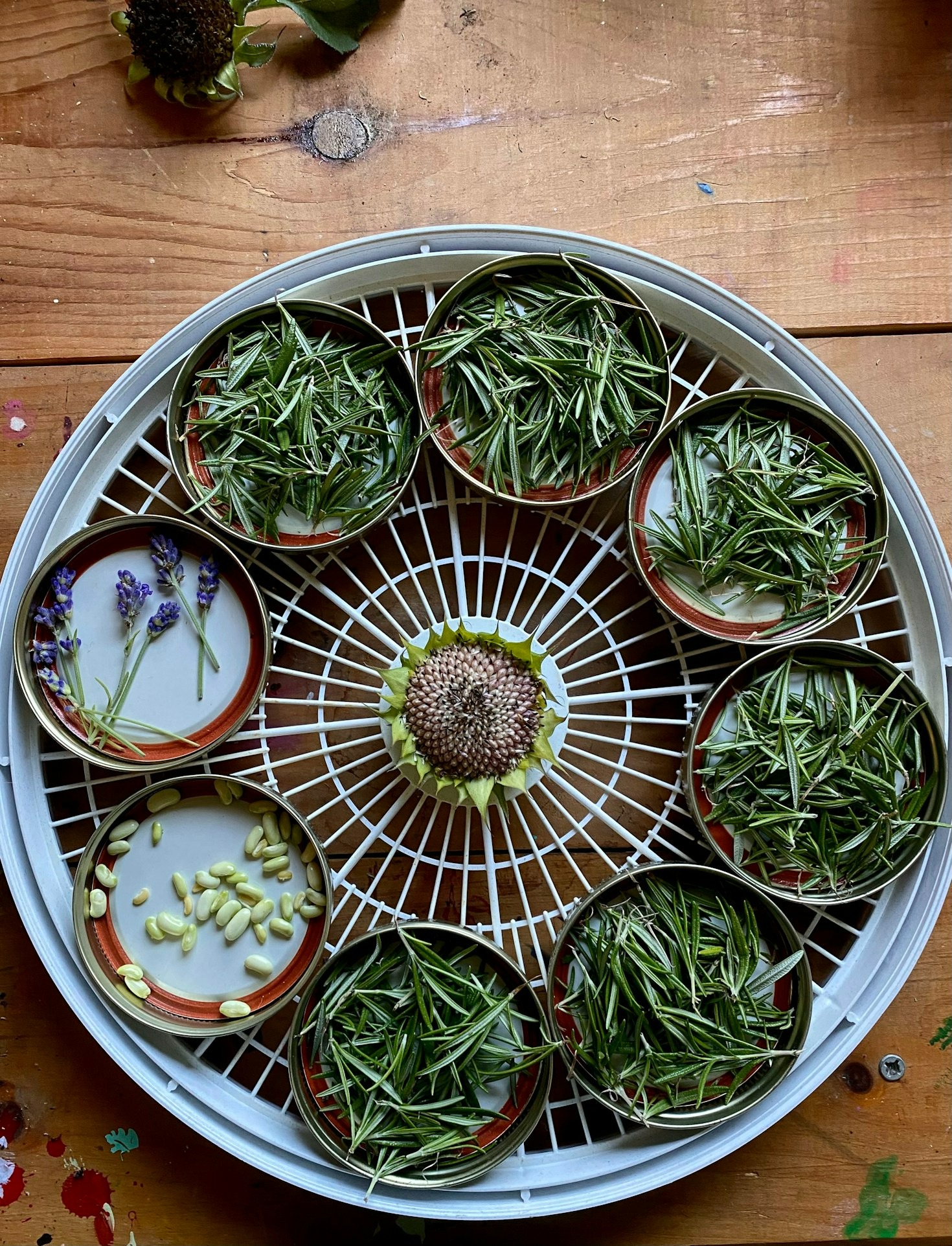 Creating Handmade Teas: Blends for Every Mood